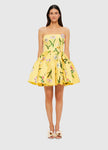SKYE BUSTIER MINI DRESS