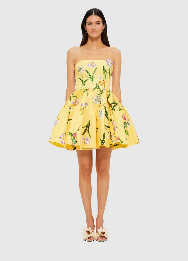 SKYE BUSTIER MINI DRESS
