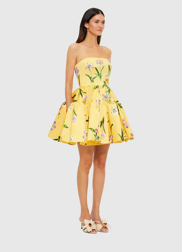 SKYE BUSTIER MINI DRESS