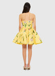 SKYE BUSTIER MINI DRESS