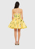 SKYE BUSTIER MINI DRESS