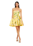 SKYE BUSTIER MINI DRESS