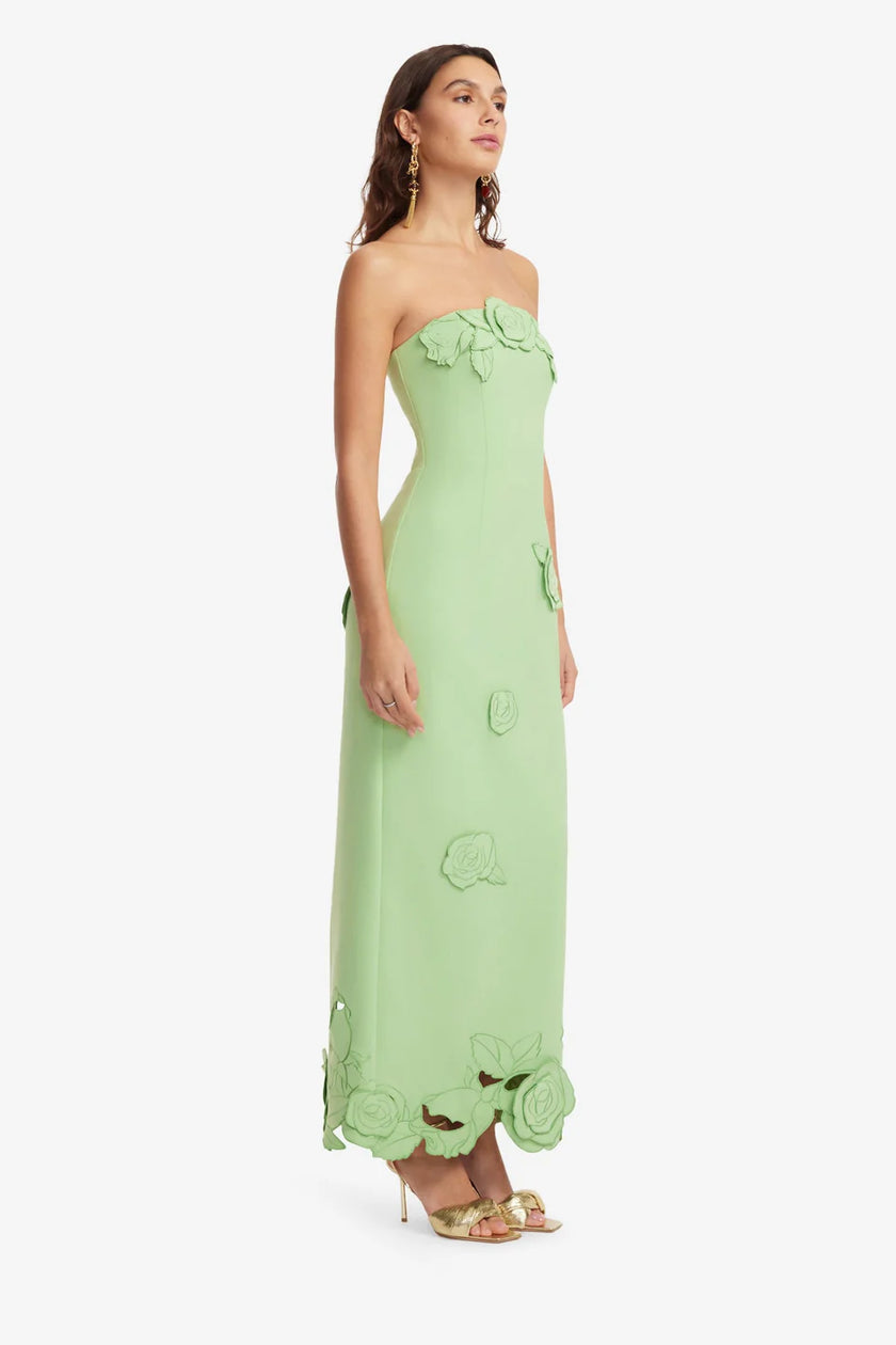 RAYNA APPLIQUE BUSTIER MAXI DRESS IN JUNIPER GREEN