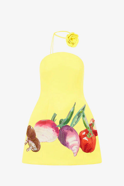ZARIA BUSTIER MINI DRESS