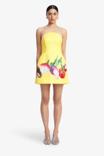 ZARIA BUSTIER MINI DRESS