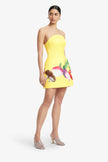 ZARIA BUSTIER MINI DRESS