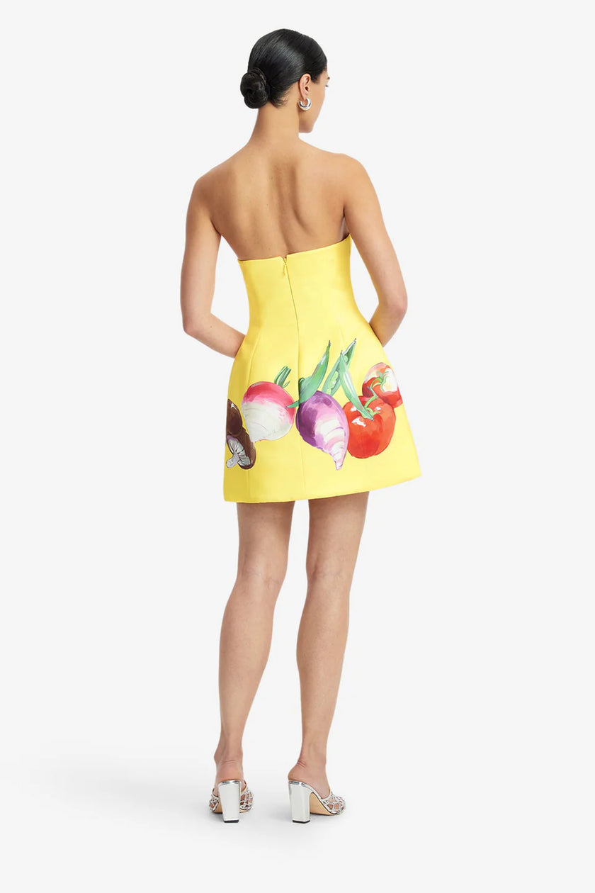 ZARIA BUSTIER MINI DRESS