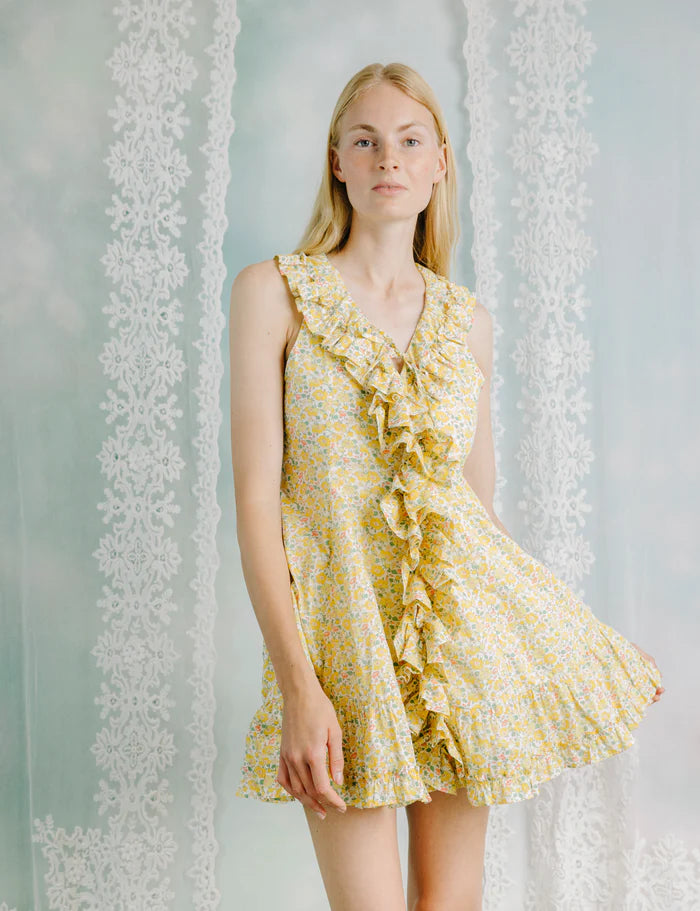 BOWIE DRESS