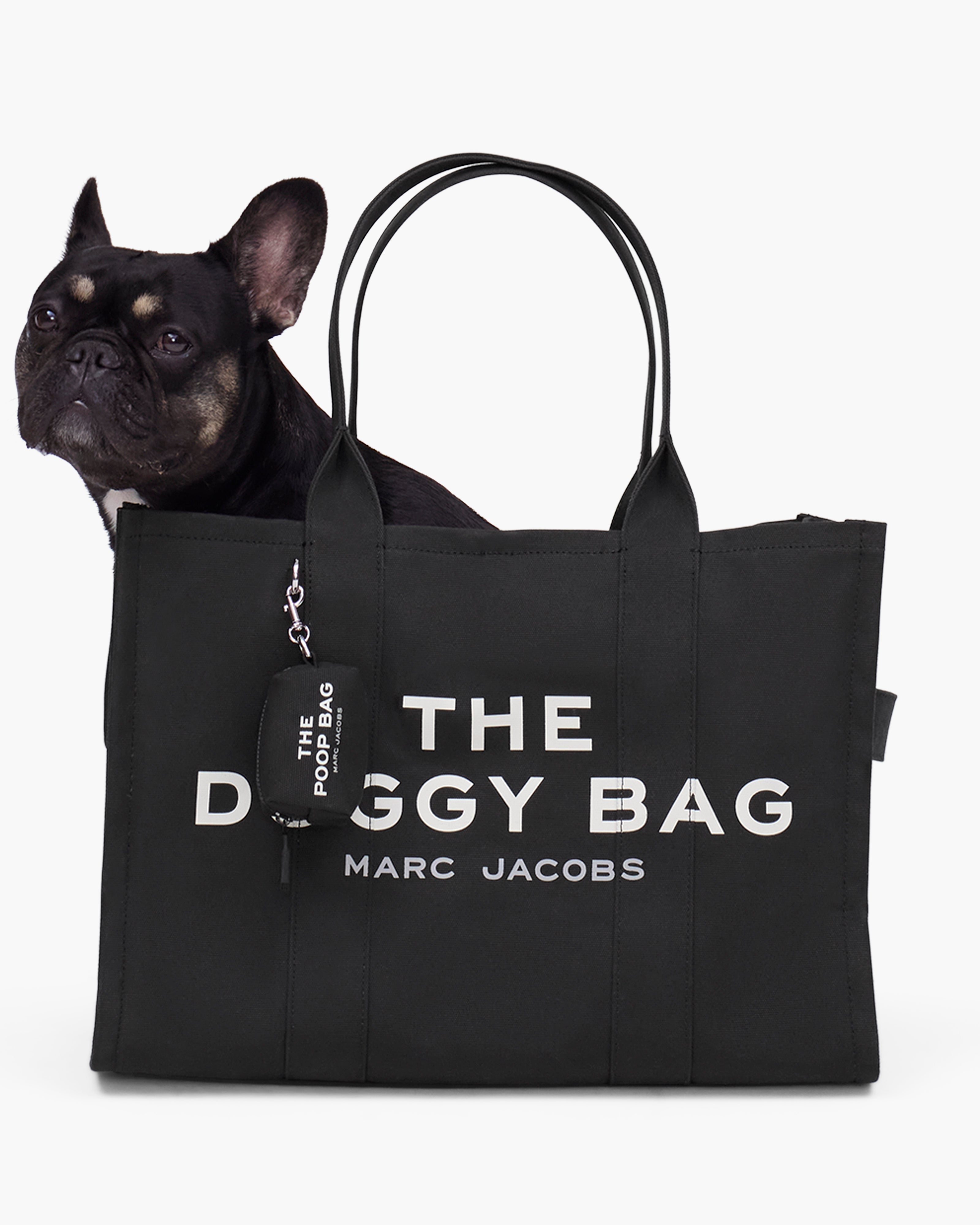 THE DOGGY BAG