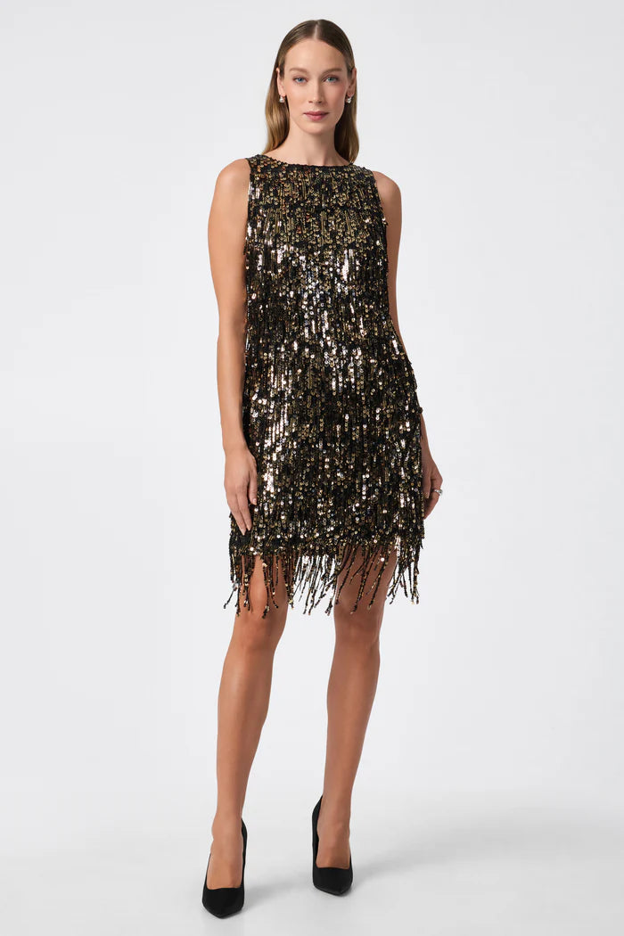 NINI SEQUIN FRINGE DRESS