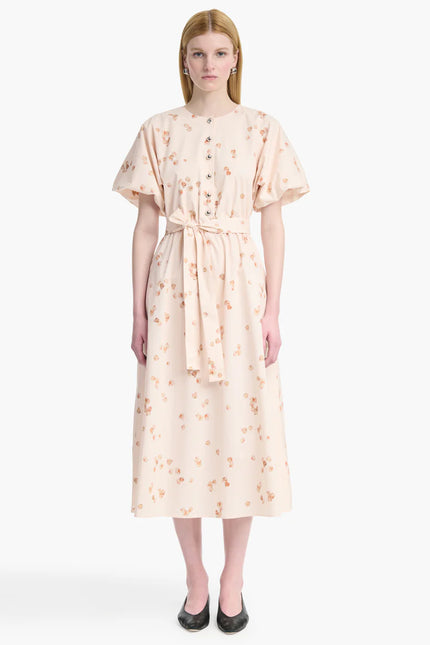 PAULINA DRESS