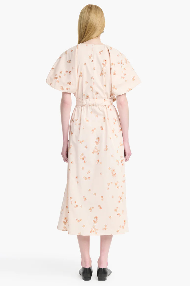 PAULINA DRESS