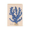 BLUE CORAL BOOK CLUTCH
