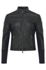 ERIN PERFORATED LEATHER JACKET