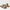 HELLEN BRAIDED SLIDE SANDAL