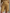 LONG PLEATED LINEN SHORT