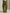 GRAPHIC CARGO PANTS