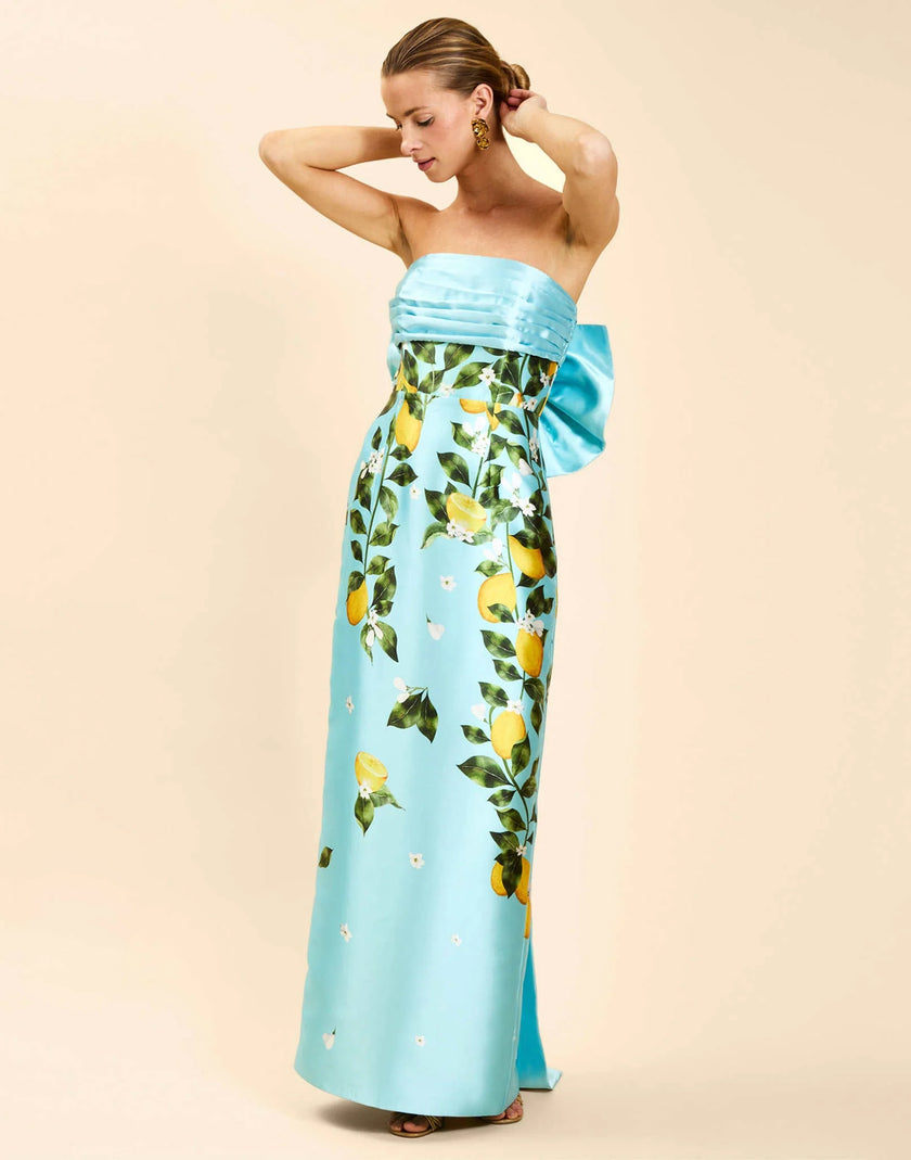 SOLSTICE CONVERTIBLE GOWN