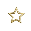 STAR CARABINER