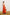 CONTESSA SUMMER DRESS