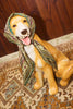 CLEMENZA SILK SCARF
