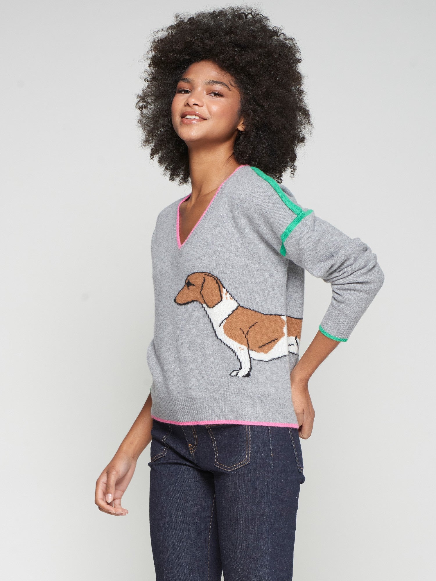 JR INTARSIA PERRO
