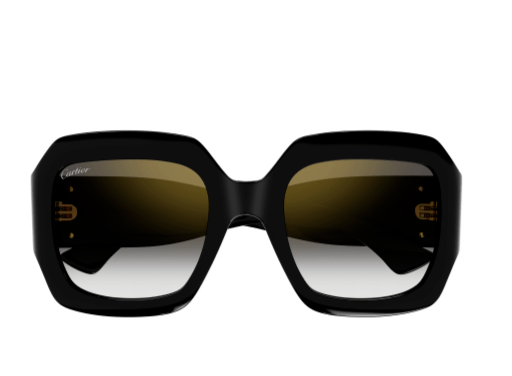 DOUBLE C ACETATE SUNGLASSES
