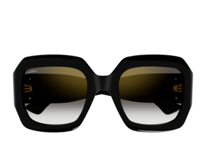 DOUBLE C ACETATE SUNGLASSES