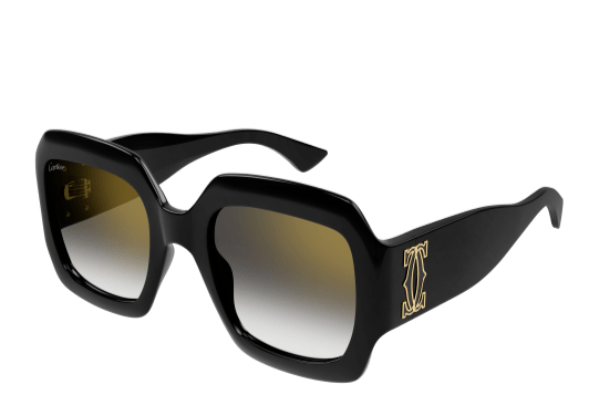 DOUBLE C ACETATE SUNGLASSES