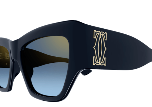 DOUBLE C ACETATE SUNGLASSES