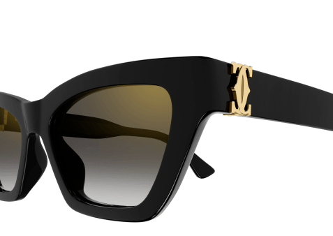 DOUBLE C ACETATE SUNGLASSES
