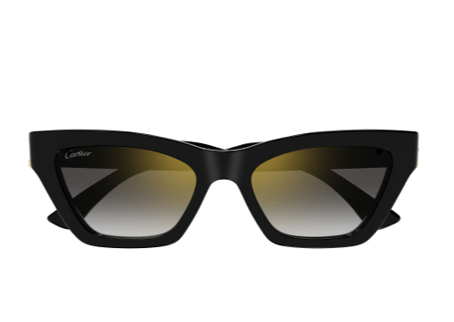 DOUBLE C ACETATE SUNGLASSES