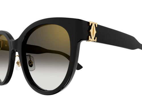 DOUBLE C ACETATE SUNGLASSES