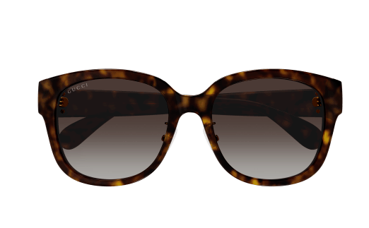 GG LOGO ACETATE SUNGLASSES