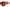GG LOGO INJECTION SUNGLASSES
