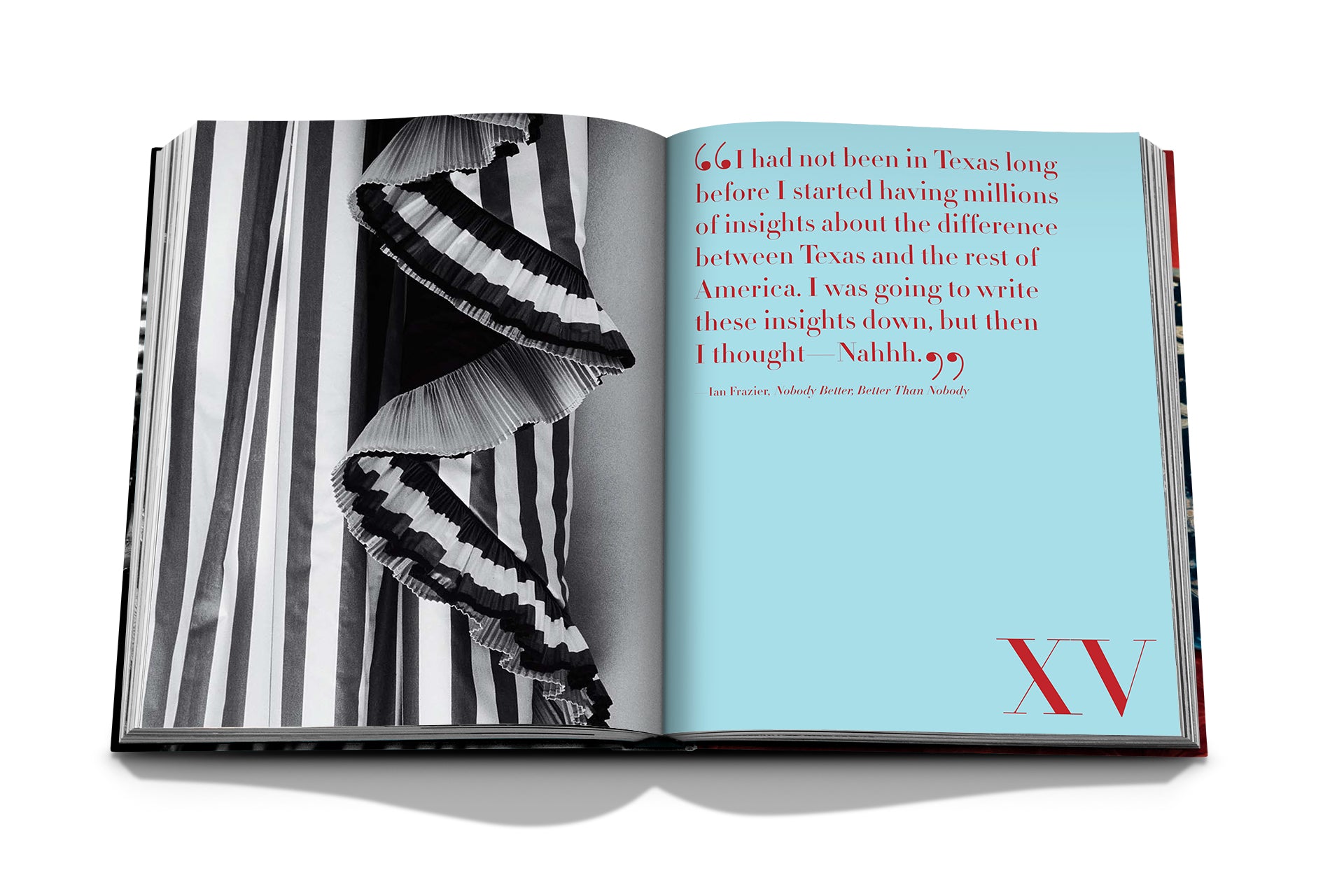 THE BIG BOOK OF CHIC